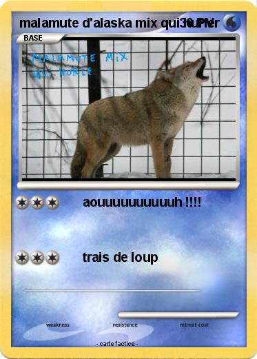 Pokemon malamute d'alaska mix qui hurler