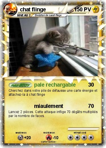 Pokemon chat flinge