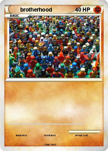 Pokemon brotherhood