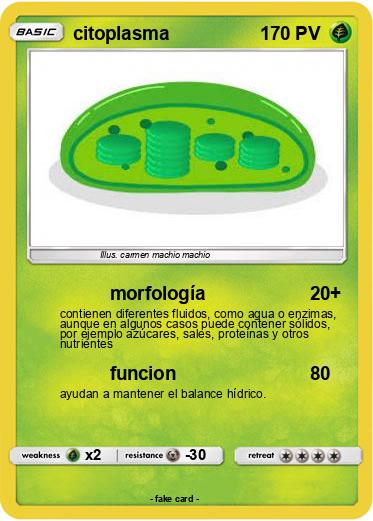 Pokemon citoplasma