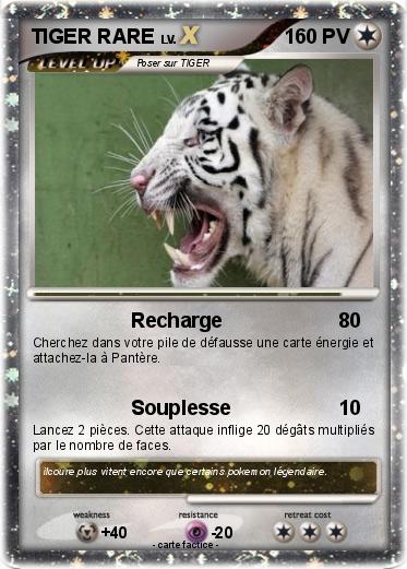 Pokemon TIGER RARE