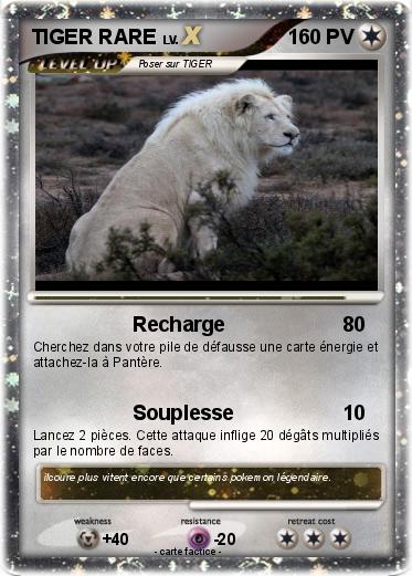 Pokemon TIGER RARE