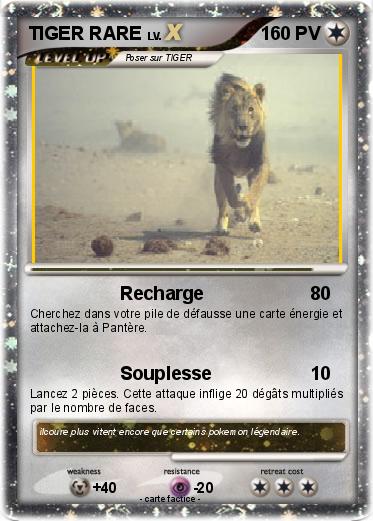 Pokemon TIGER RARE