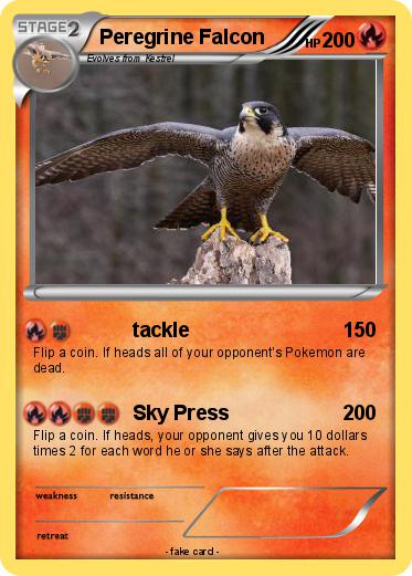 Pokemon Peregrine Falcon