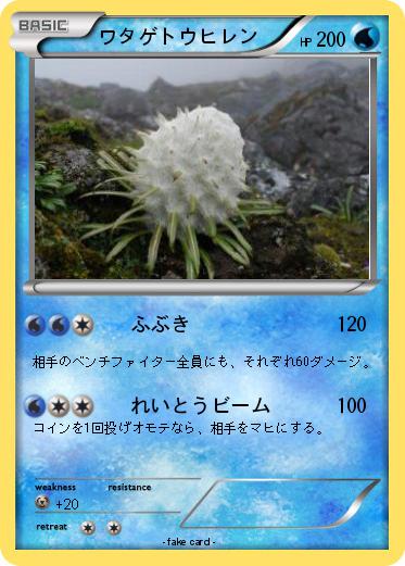 Pokemon ワタゲトウヒレン