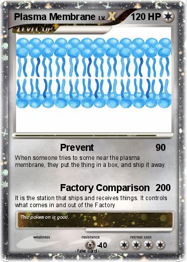 Pokemon Plasma Membrane