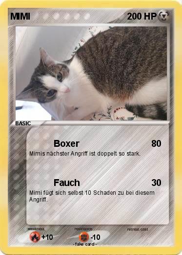 Pokemon MIMI
