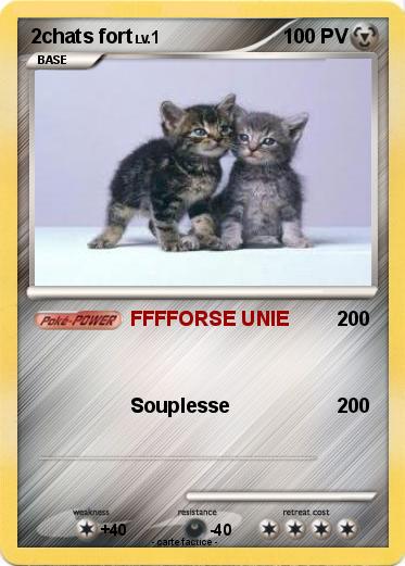 Pokemon 2chats fort