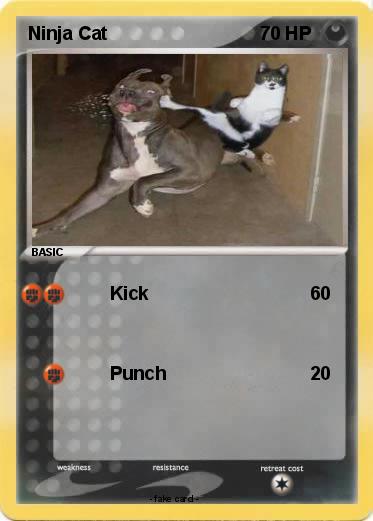 Pokemon Ninja Cat