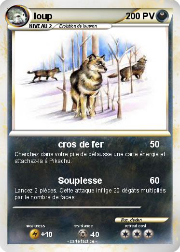 Pokemon loup