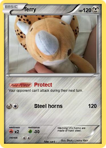 Pokemon Terry