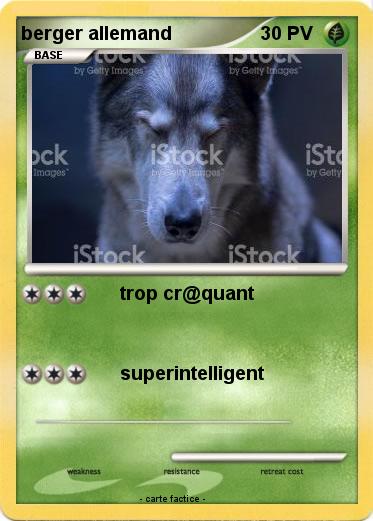 Pokemon berger allemand
