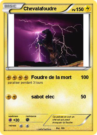 Pokemon Chevalafoudre