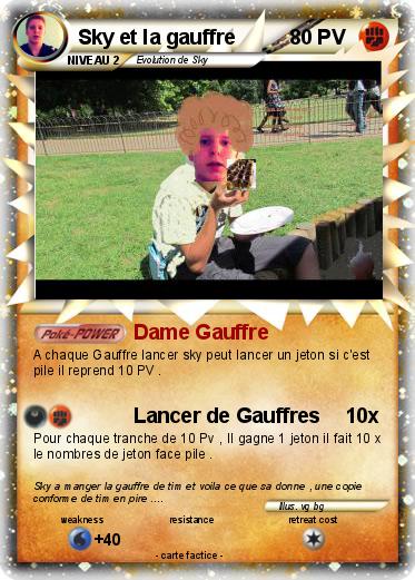 Pokemon Sky et la gauffre