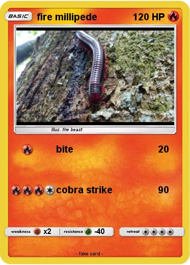 Pokemon fire millipede
