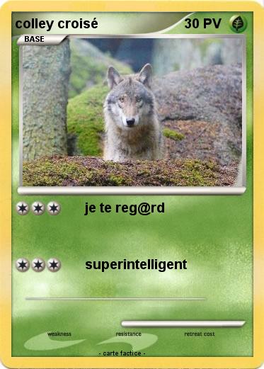 Pokemon colley croisé