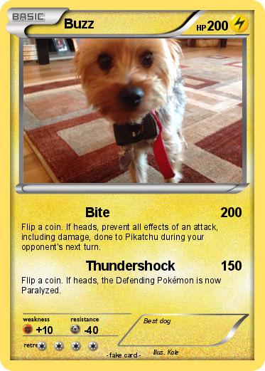 Pokemon Buzz