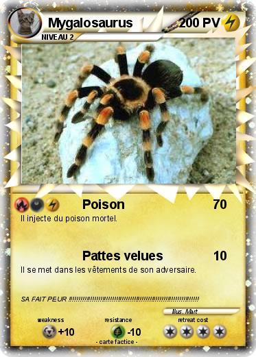 Pokemon Mygalosaurus