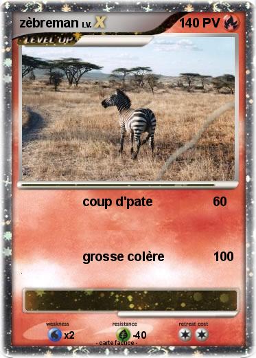 Pokemon zèbreman
