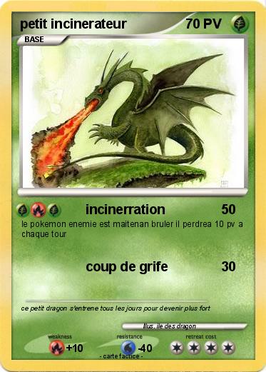 Pokemon petit incinerateur
