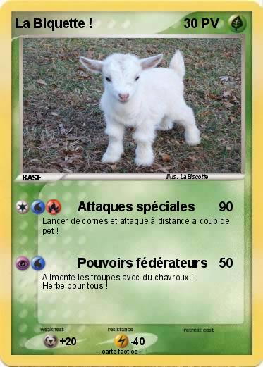 Pokemon La Biquette !