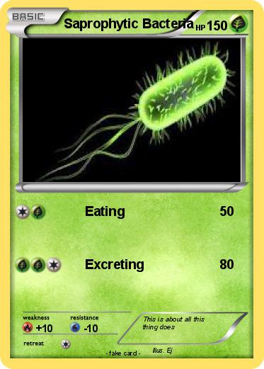 Pokemon Saprophytic Bacteria
