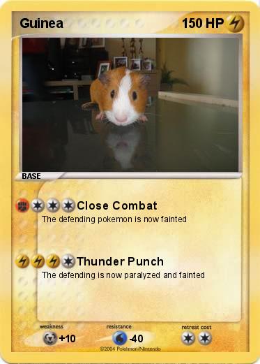 Pokemon Guinea