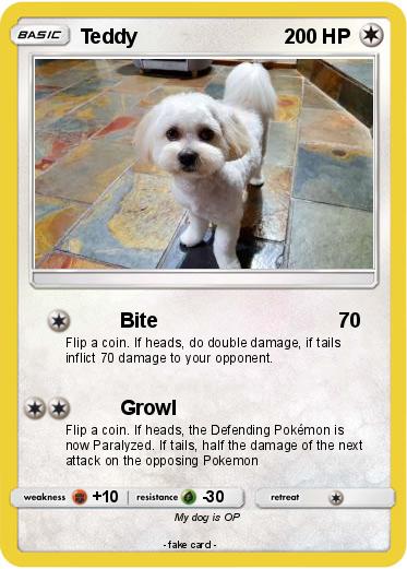 Pokemon Teddy