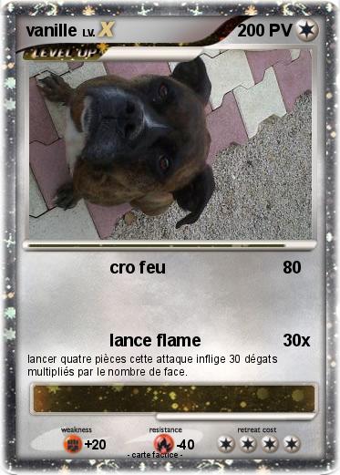 Pokemon vanille