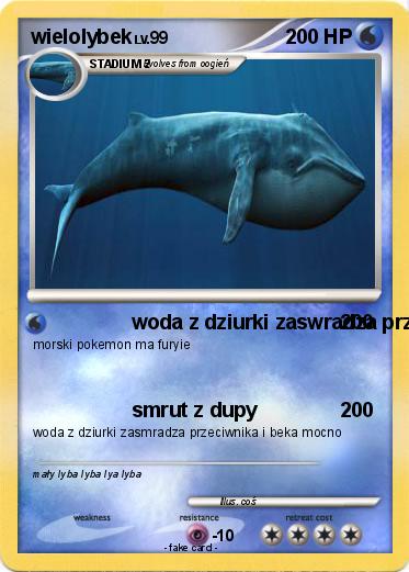 Pokemon wielolybek