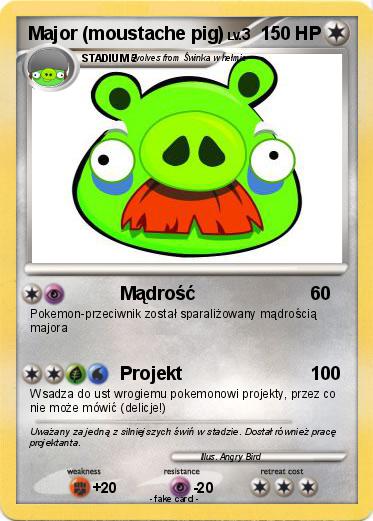 Pokemon Major (moustache pig)