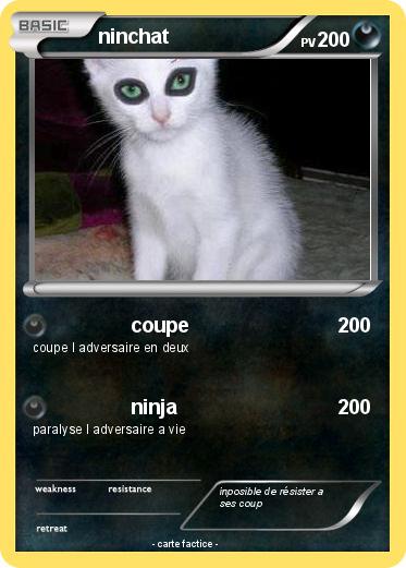 Pokemon ninchat