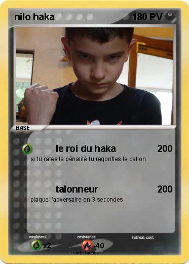 Pokemon nilo haka