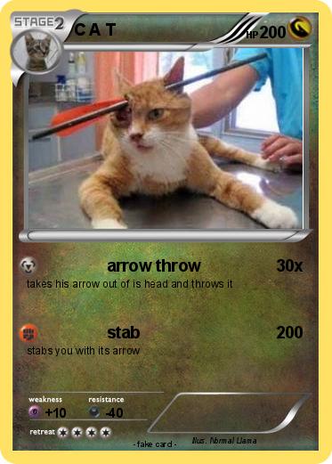 Pokemon C A T