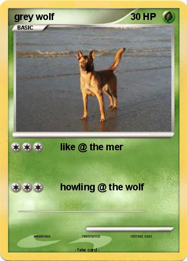 Pokemon grey wolf