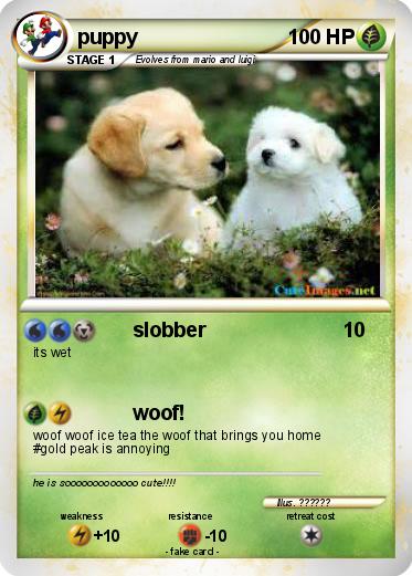 Pokemon puppy