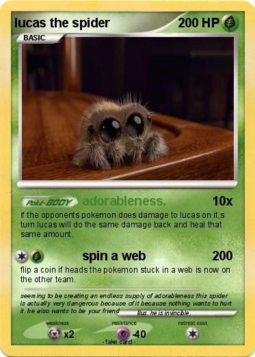 Pokemon lucas the spider