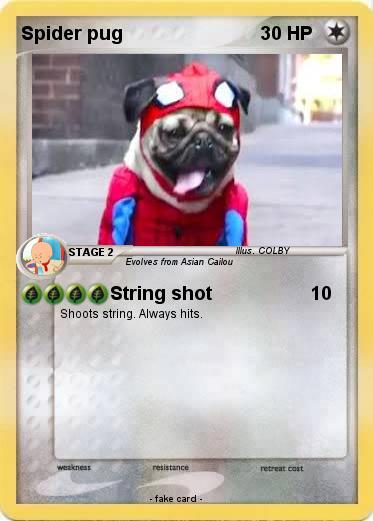 Pokemon Spider pug