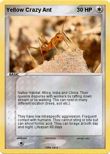 Pokemon Yellow Crazy Ant