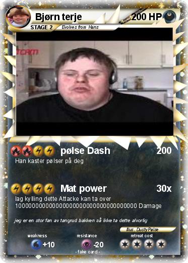 Pokemon Bjørn terje