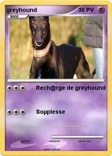Pokemon greyhound