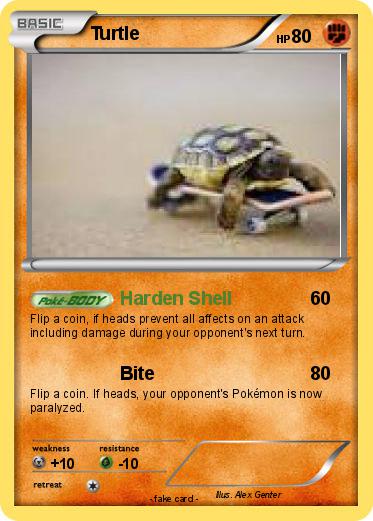 Pokemon Turtle