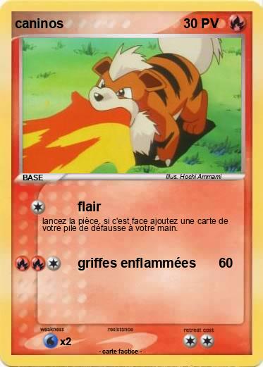 Pokemon caninos