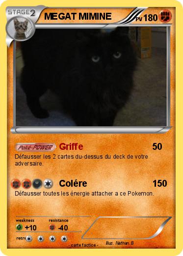 Pokemon MEGAT MIMINE