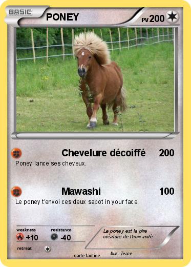 Pokemon PONEY
