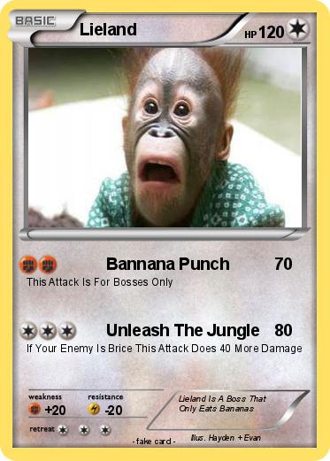 Pokemon Lieland