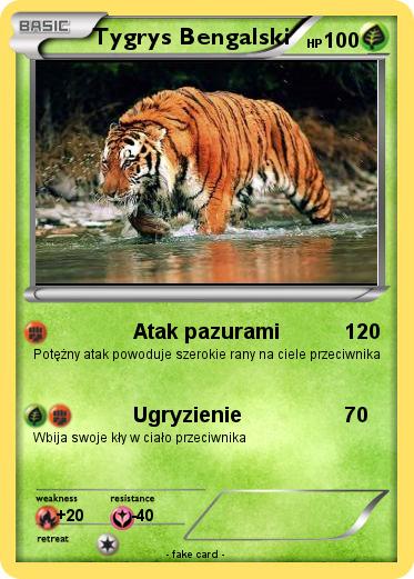 Pokemon Tygrys Bengalski