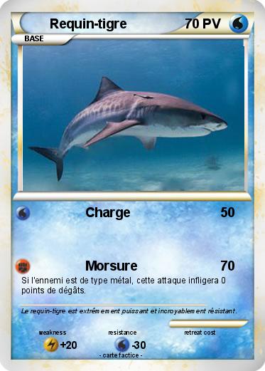 Pokemon Requin-tigre