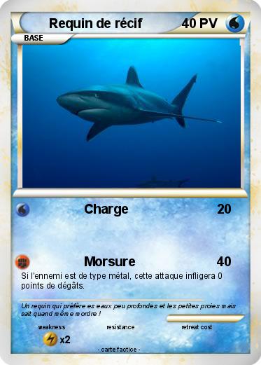 Pokemon Requin de récif