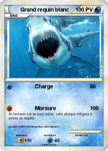 Pokemon Grand requin blanc